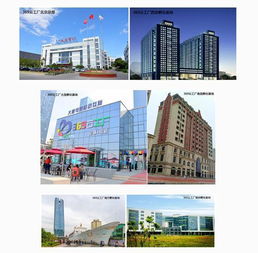 大唐網絡369云工廠運營公司成立，實業運營與建設雙輪驅動區域孵化基地全面升級